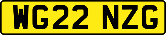 WG22NZG