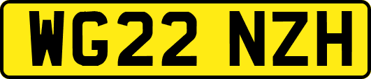 WG22NZH