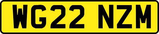 WG22NZM