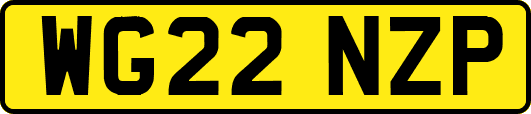 WG22NZP