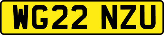 WG22NZU