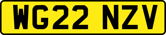 WG22NZV