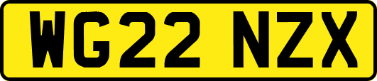 WG22NZX