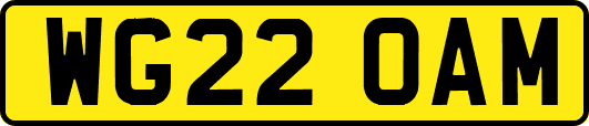 WG22OAM
