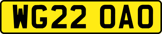 WG22OAO