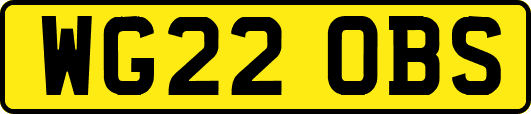 WG22OBS