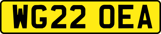 WG22OEA