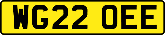 WG22OEE