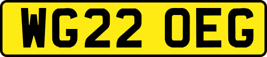 WG22OEG