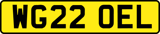 WG22OEL
