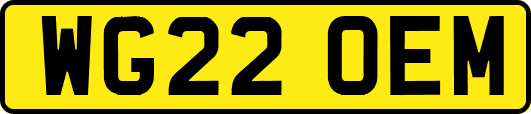 WG22OEM