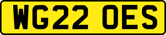 WG22OES