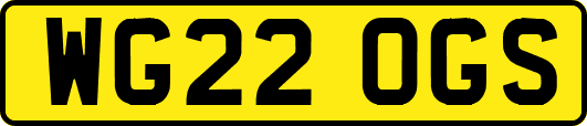 WG22OGS