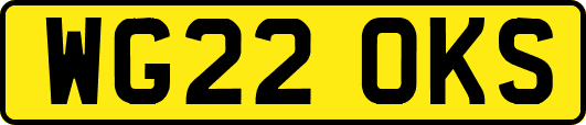 WG22OKS