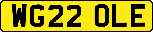 WG22OLE