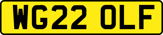 WG22OLF