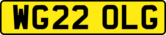 WG22OLG
