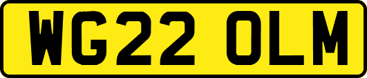 WG22OLM