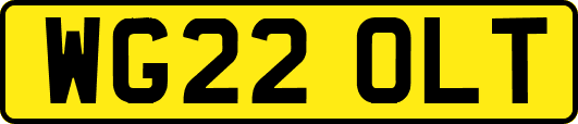 WG22OLT