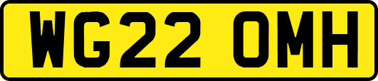 WG22OMH