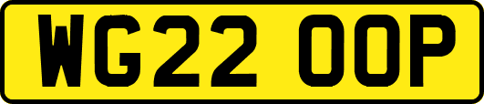 WG22OOP