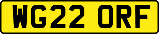 WG22ORF