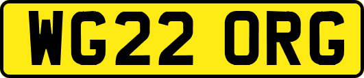 WG22ORG
