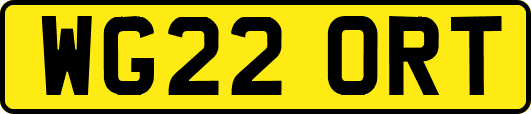 WG22ORT