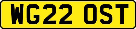 WG22OST