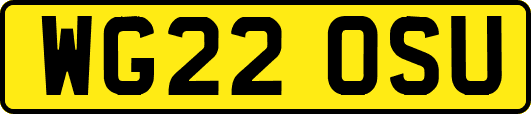 WG22OSU