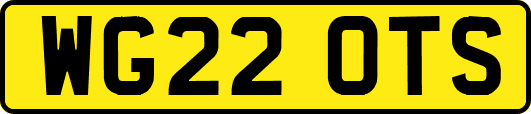 WG22OTS