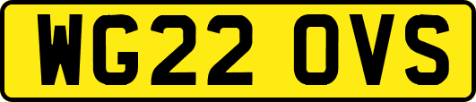 WG22OVS