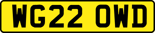 WG22OWD