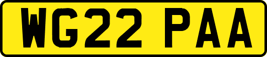 WG22PAA