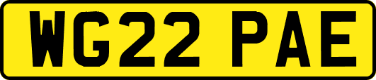 WG22PAE