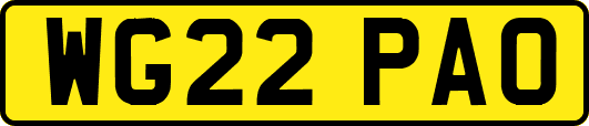WG22PAO