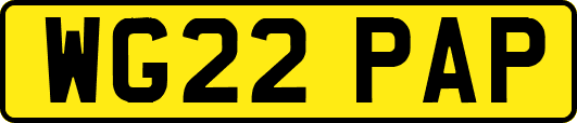 WG22PAP