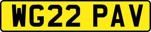 WG22PAV