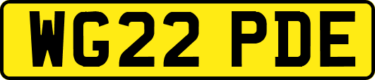 WG22PDE