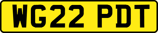 WG22PDT