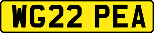 WG22PEA
