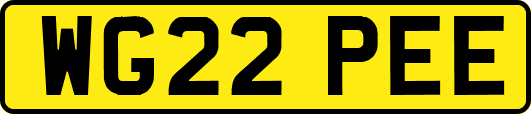 WG22PEE