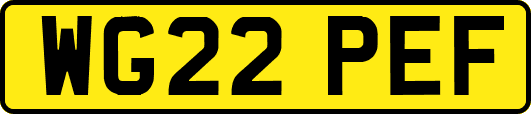 WG22PEF