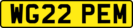 WG22PEM