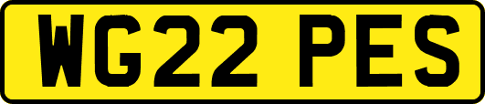 WG22PES