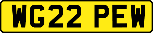 WG22PEW