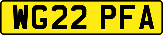 WG22PFA
