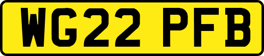 WG22PFB