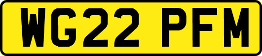 WG22PFM