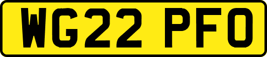 WG22PFO